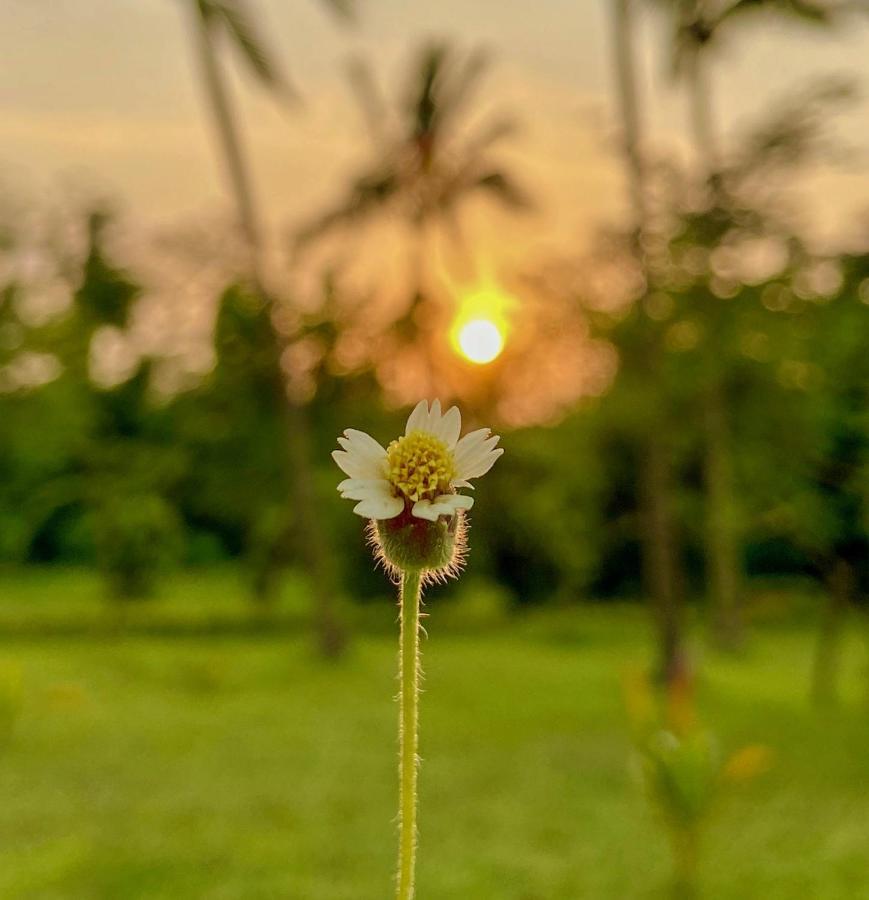 Trident Bhubaneswar Hotel Bagian luar foto